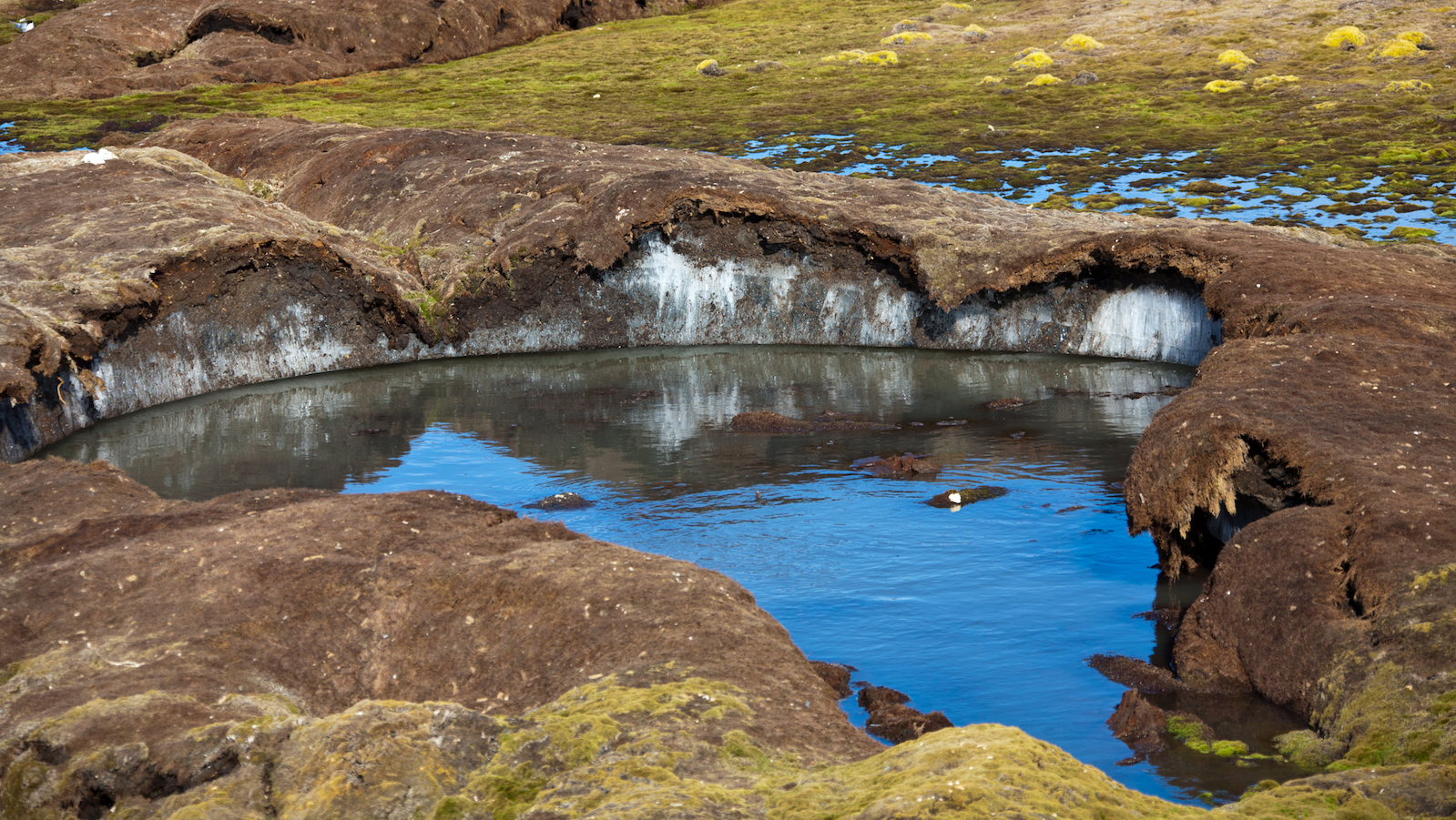 Thawing permafrost soil