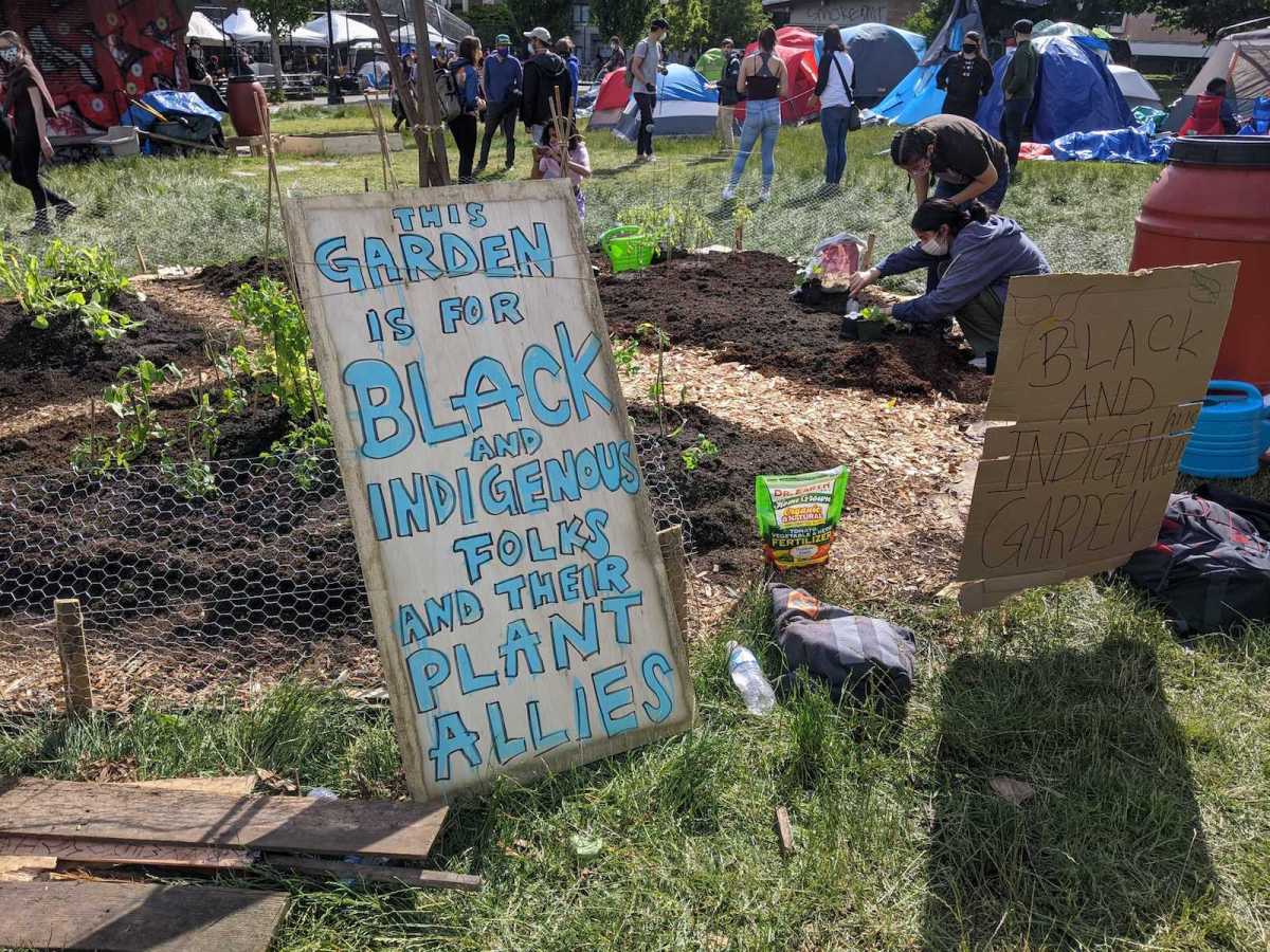 photo of community garden in seattle CHOP