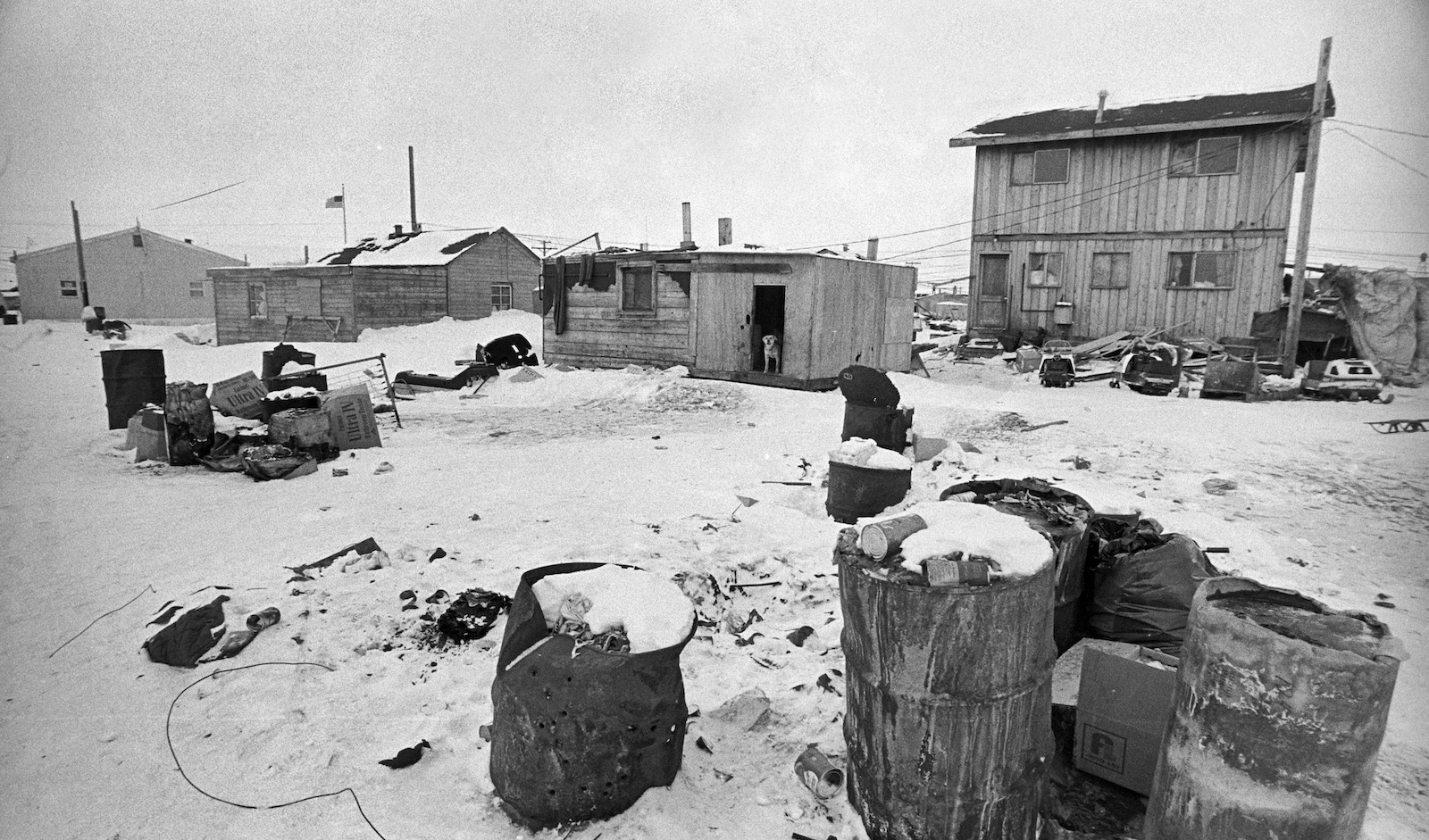 Garbage Frozen In Late-Winter Snow