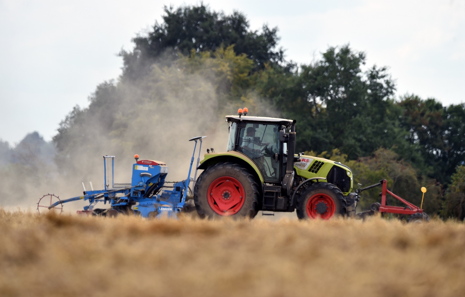 combine harvesting wheat