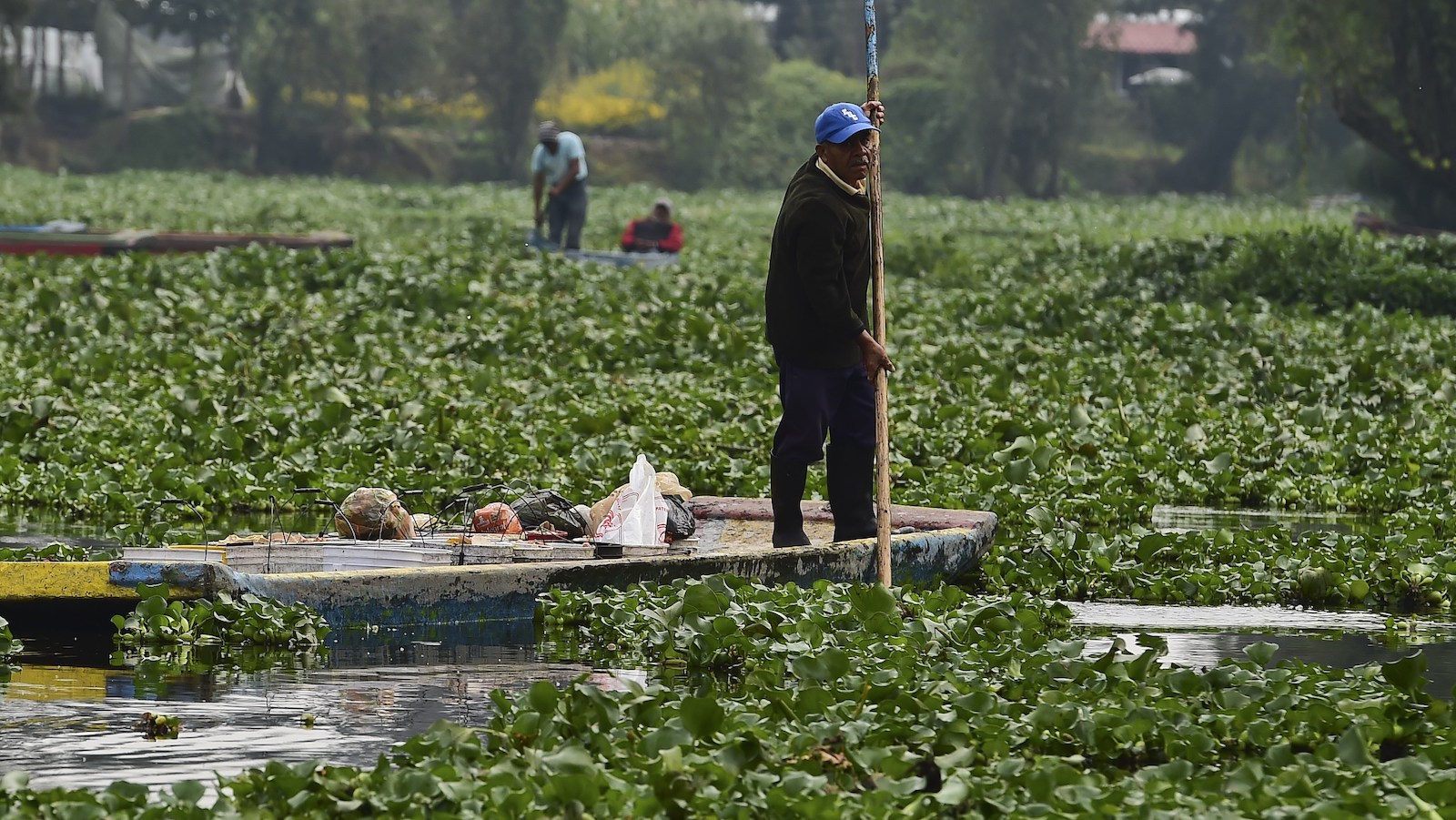 Mexico city floating gardens