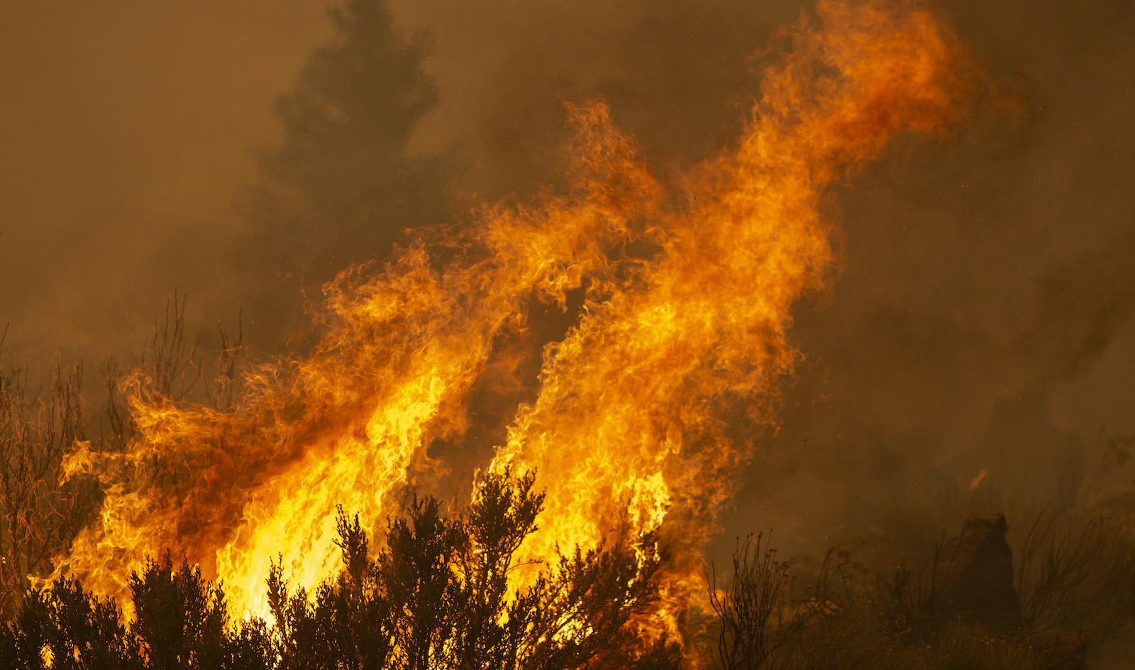 Bobcat Fire Burns East Of Los Angeles