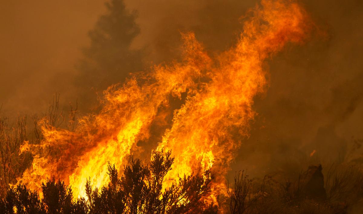 Bobcat Fire Burns East Of Los Angeles