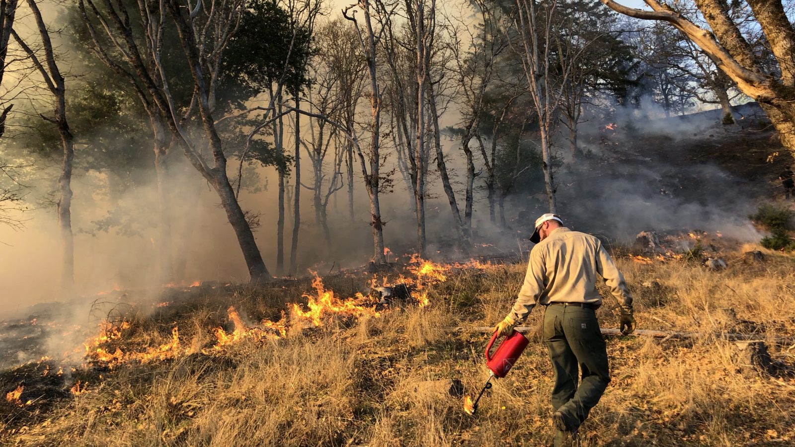 Flames rise behind a man with a drip torch.