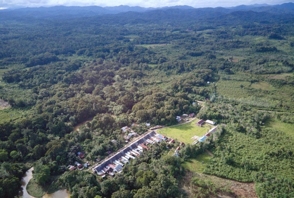 Borneo landscape