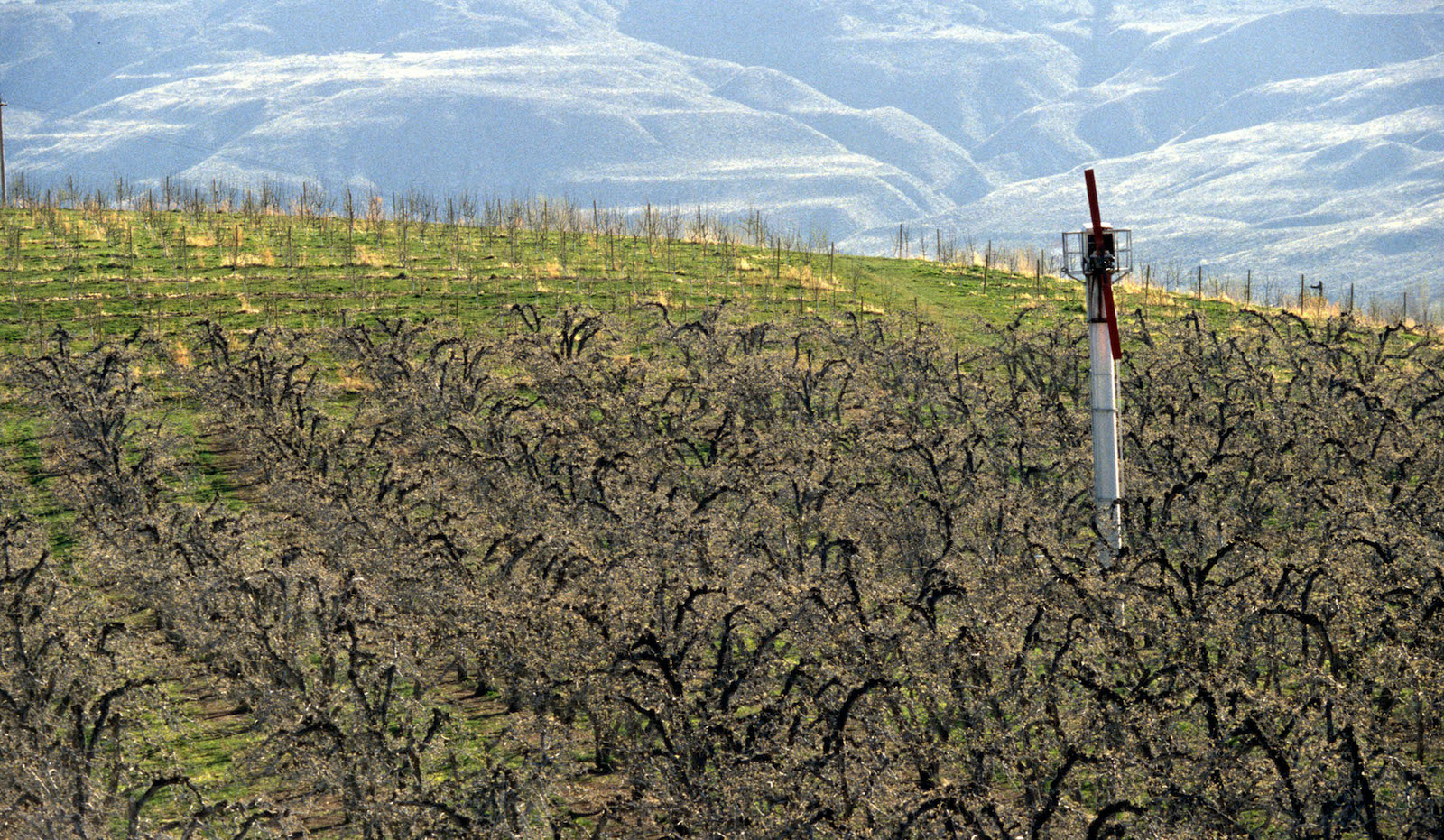 Energy Crisis in the West Coast