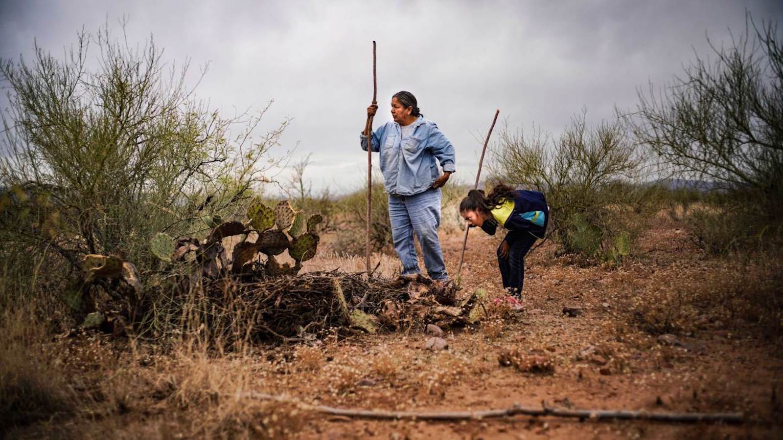 Apache forager Twila Cassadore