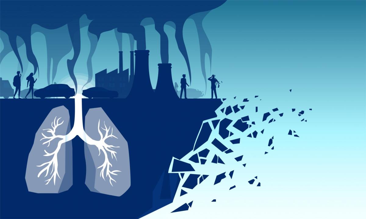 Air pollution as an official cause of death