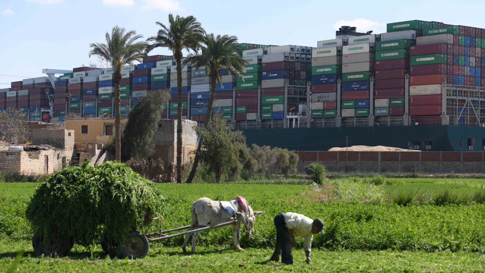 Ever Given stuck in Suez Canal