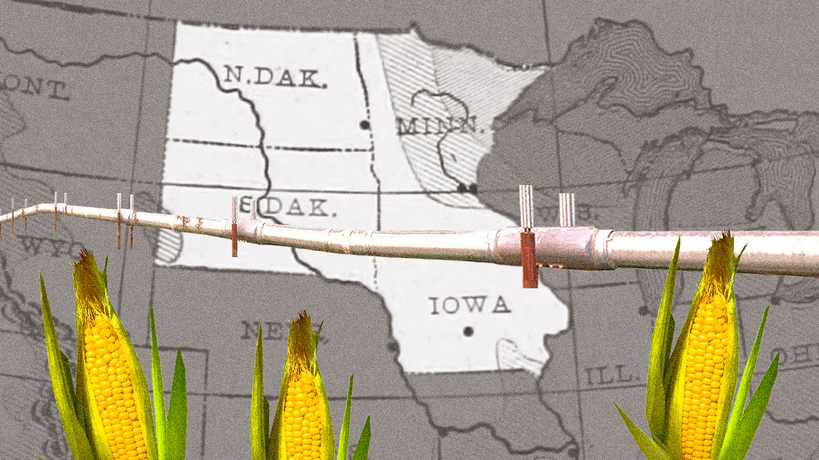 A map of the midwest with North Dakota, South Dakota, Iowa, and Minnesota highlighted and a pipeline and ears of corn on top