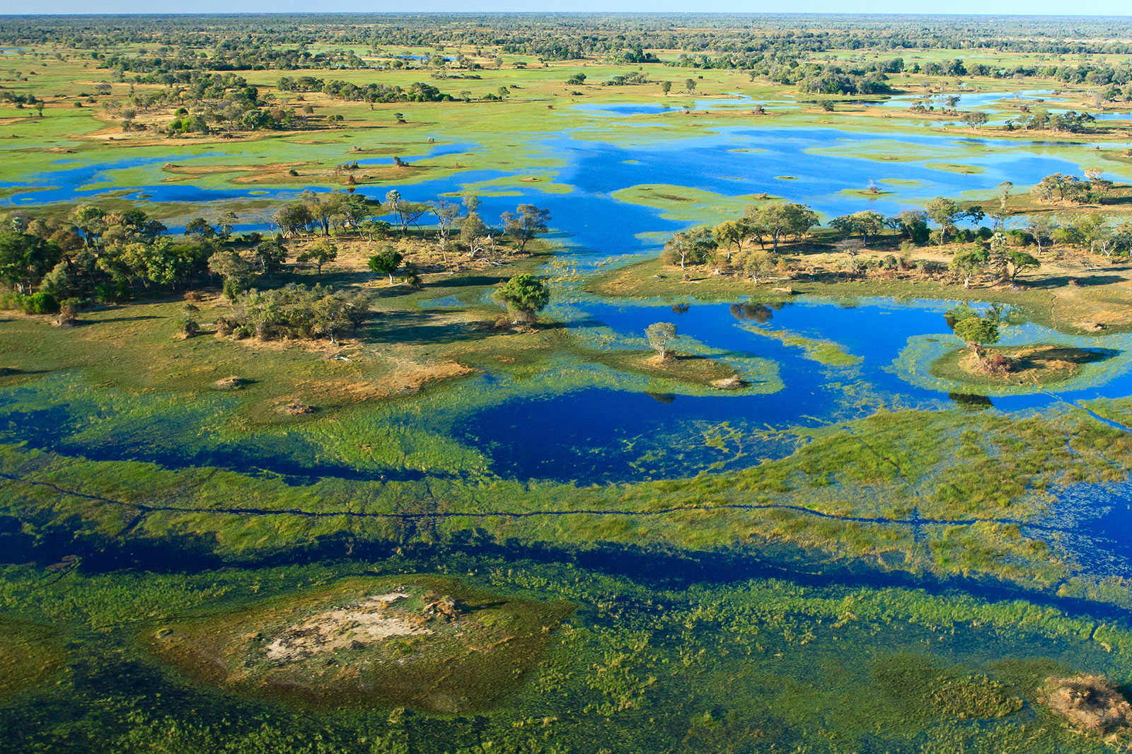 Aerial view of the Okavango Delta in Botswana.