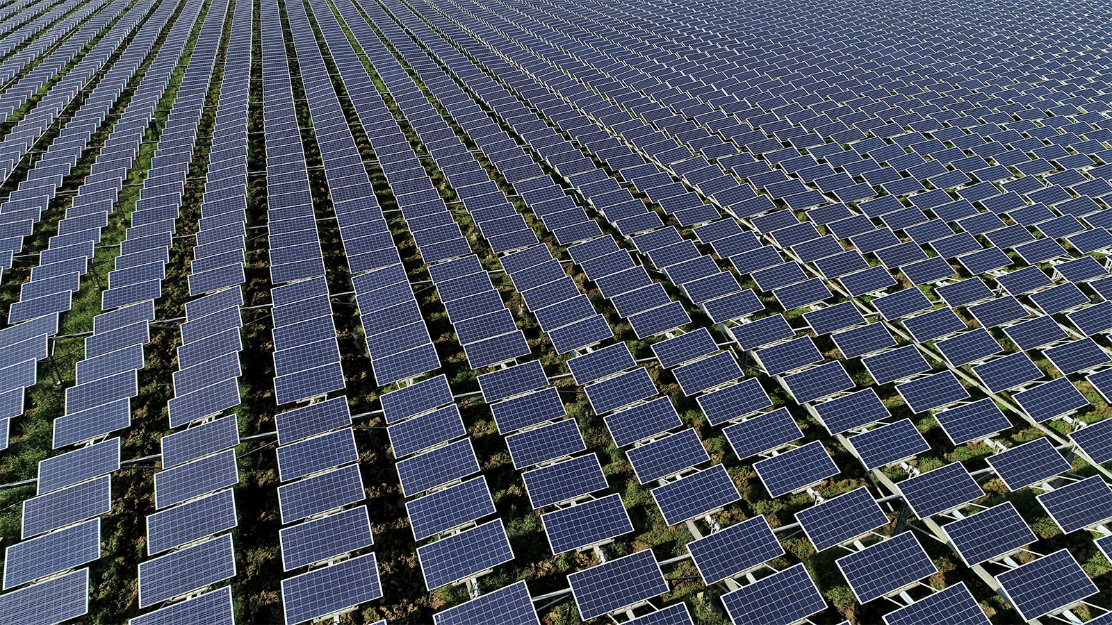 Aerial photo of solar panels