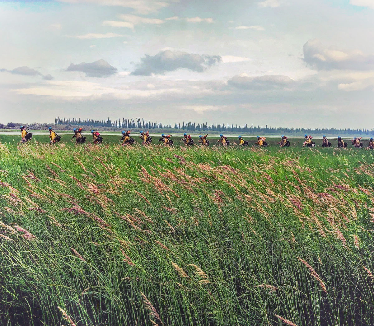 a far-away photo of a line of hotshot firefighters walking. The foreground is a large field of tall, green grass.