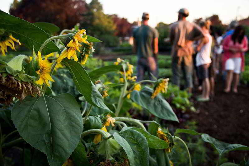 urban farming argoecology