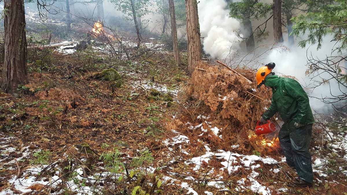 A controlled burn near Ashland Oregon.