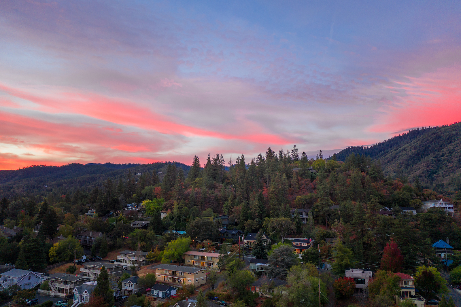 a sunset view of a town amidst tall fir trees