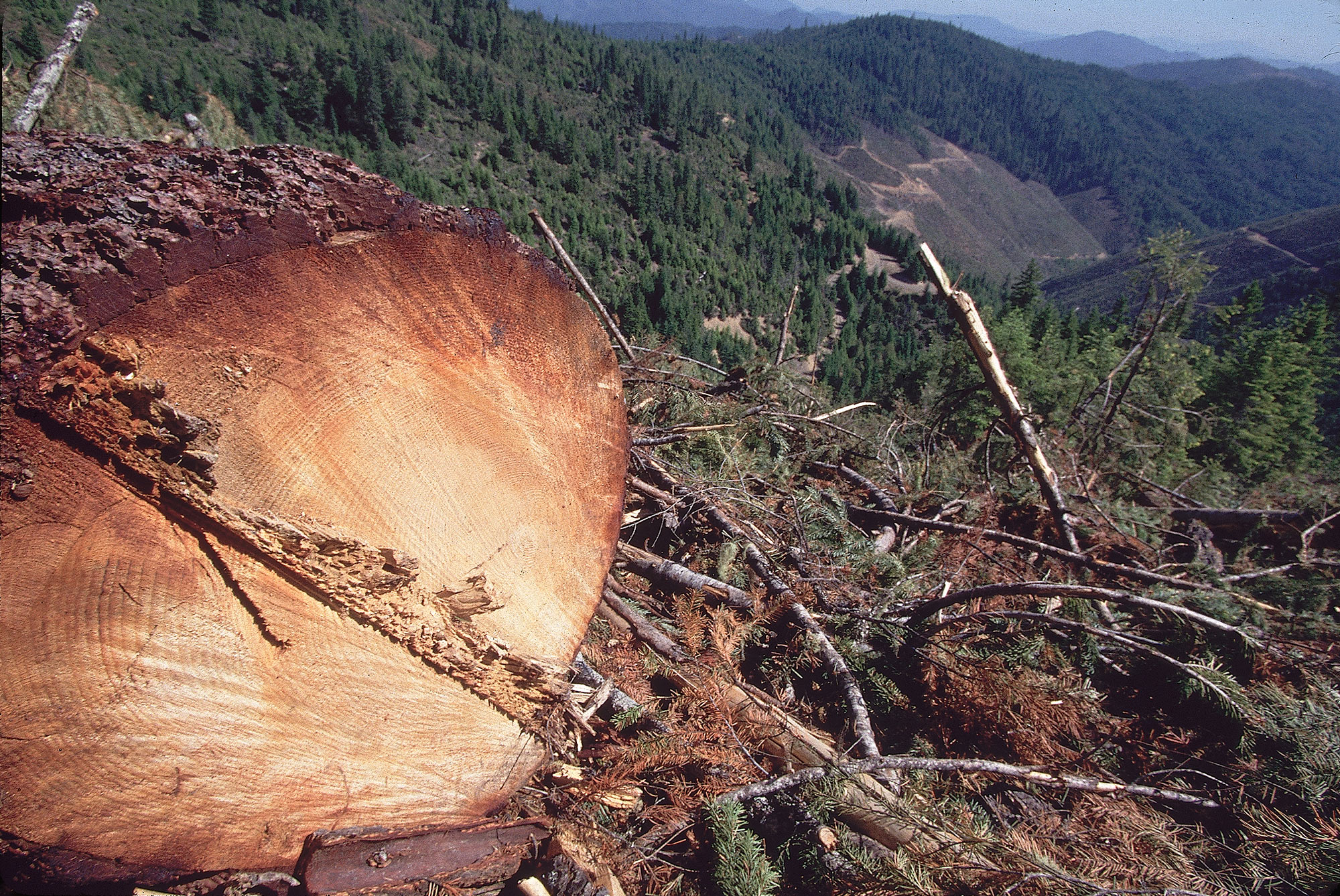 Siskiyou National Forest of Oregon with a Clearcut Forest area.