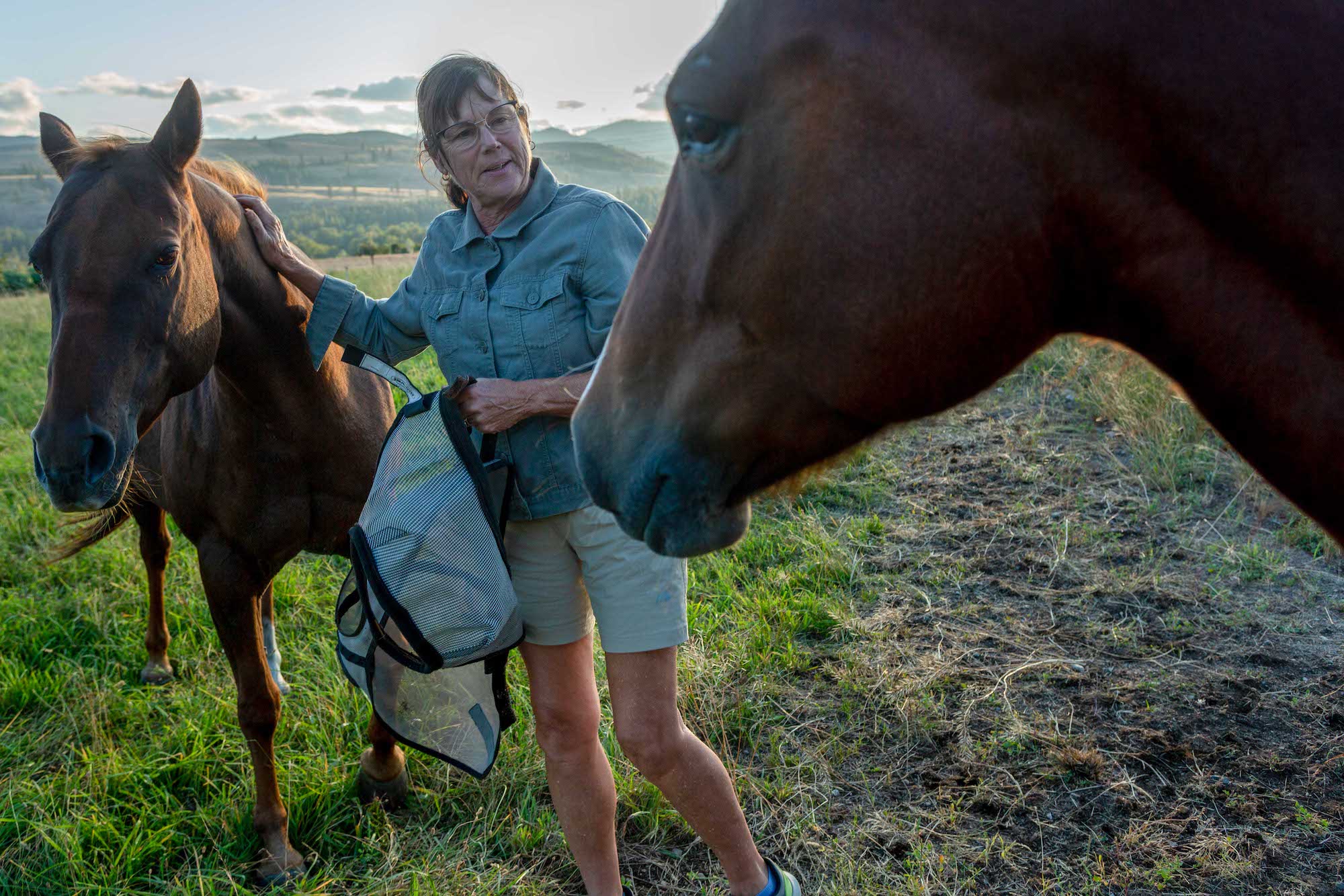 A woman wearing a sea green shirt and khaki short pets a horse.