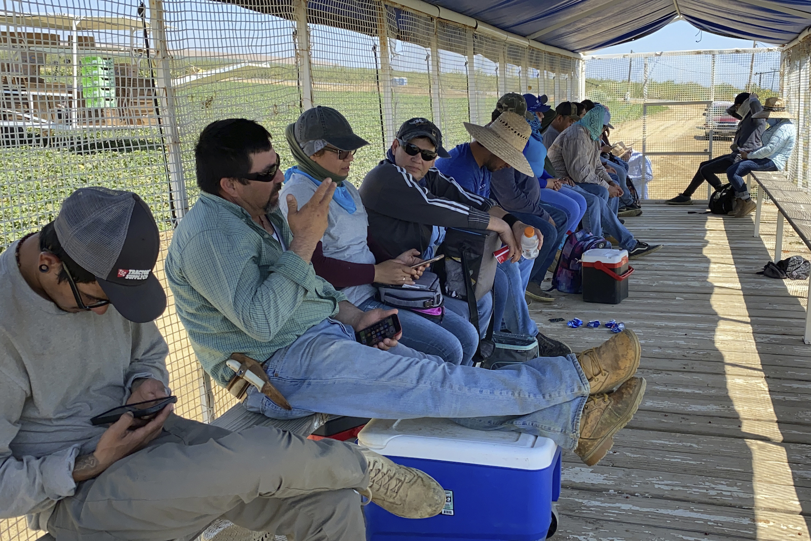 a line of workers in long sleeves and sunglasses, many with hats, sitting on a long bench in the shade of a netted area. Outside, green fields and intense sun