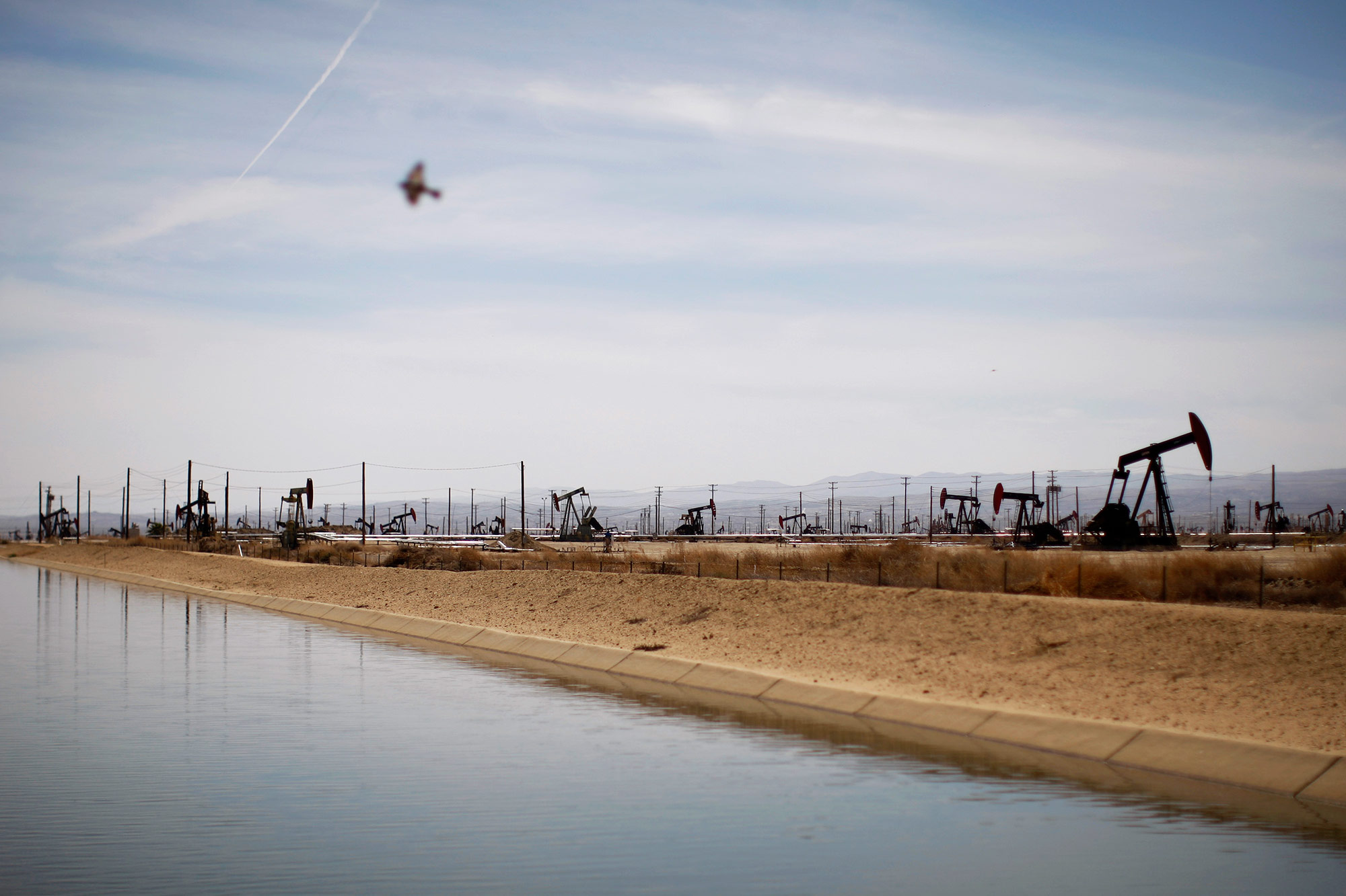 A swallows flies over a canal in an oil field over the Monterey Shale formation