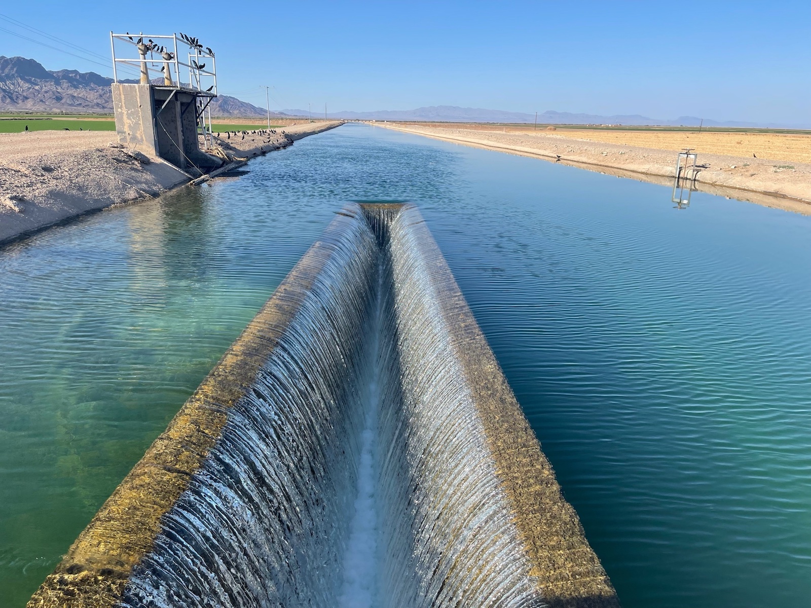 An outdoor canal filled with water from the Colorado River