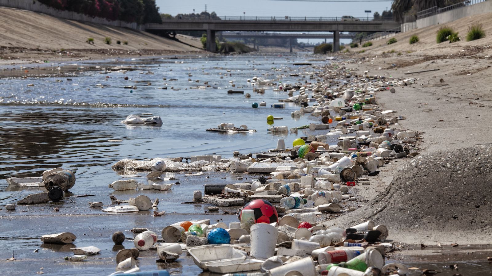 Plastic littering a creek.