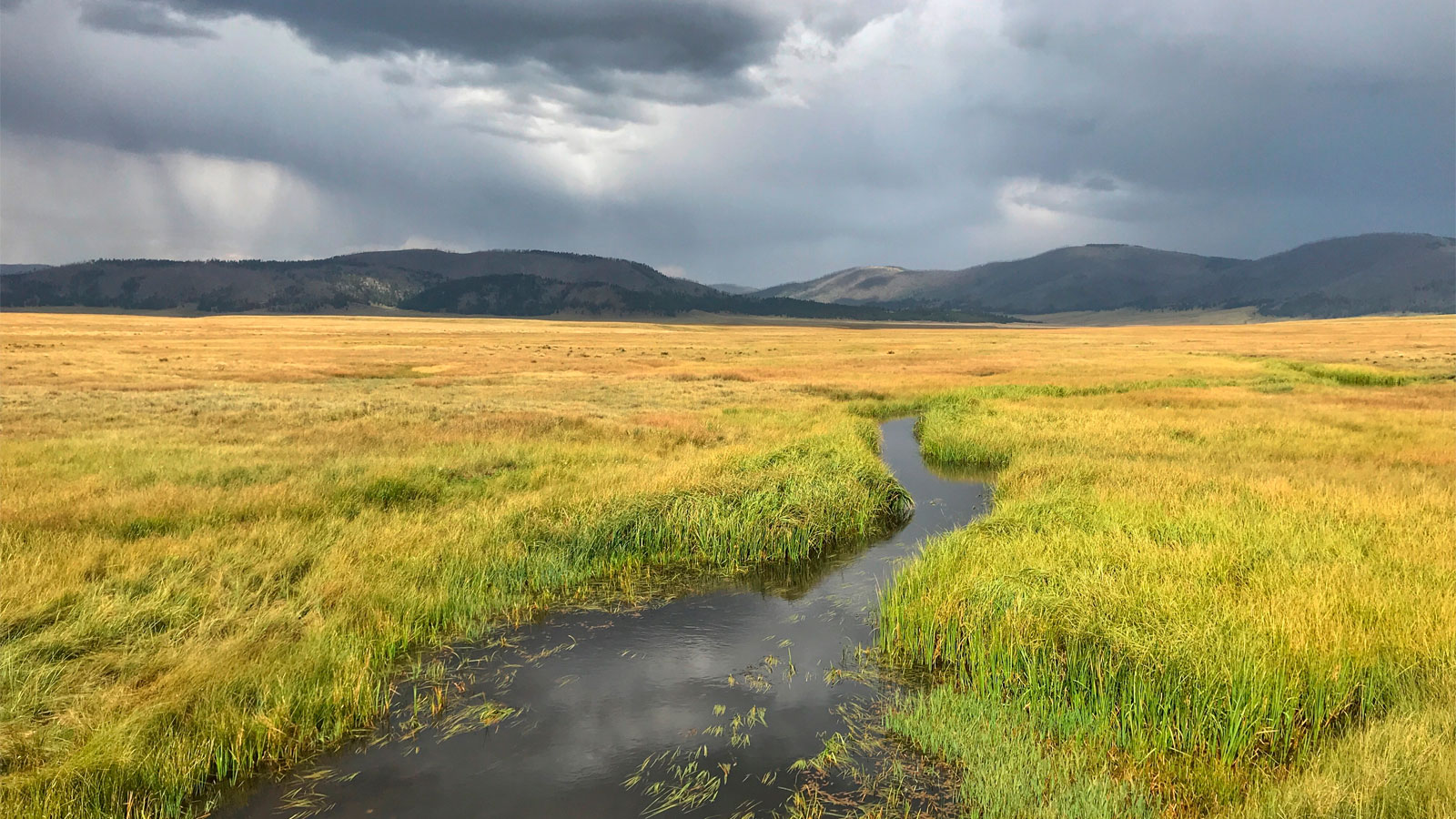 Valles Caldera National Preserve in New Mexico