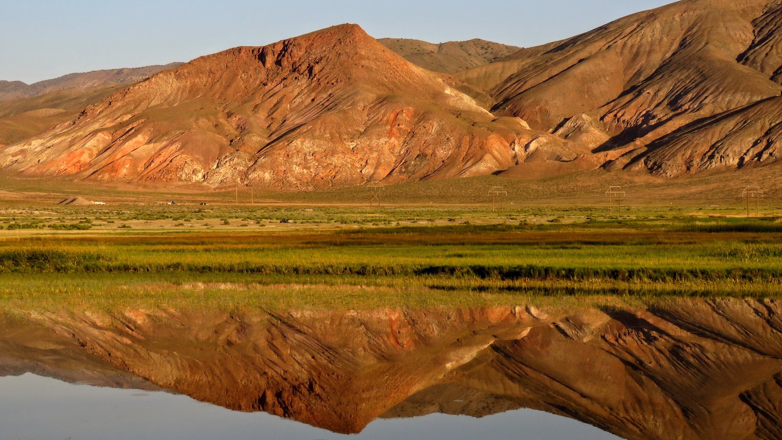 a meadow in the nevada desert