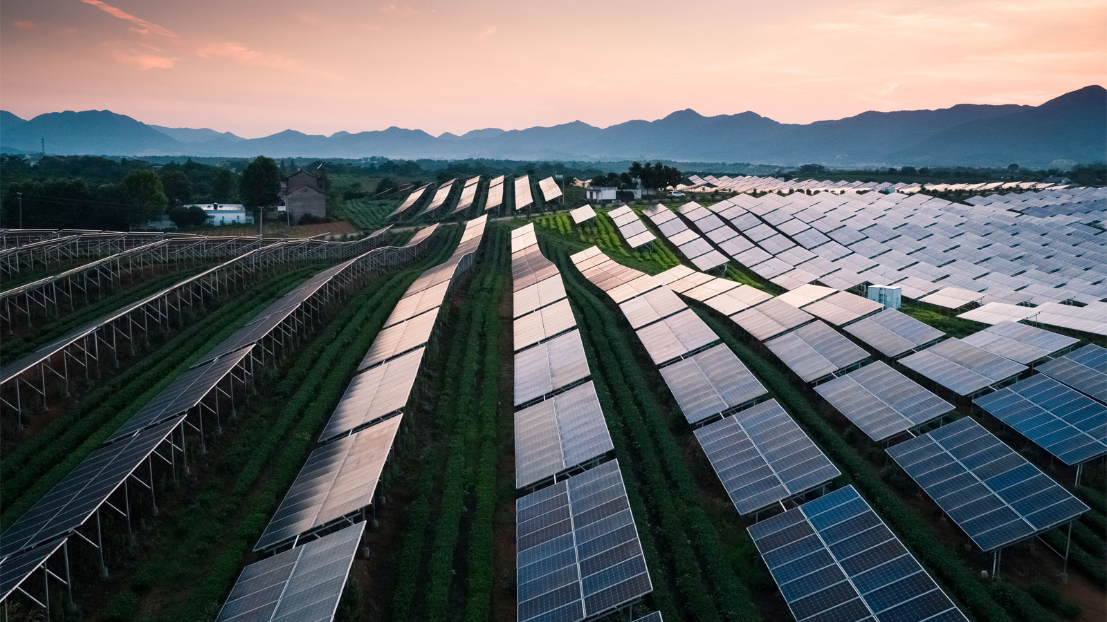 Solar farm with mountains in the background