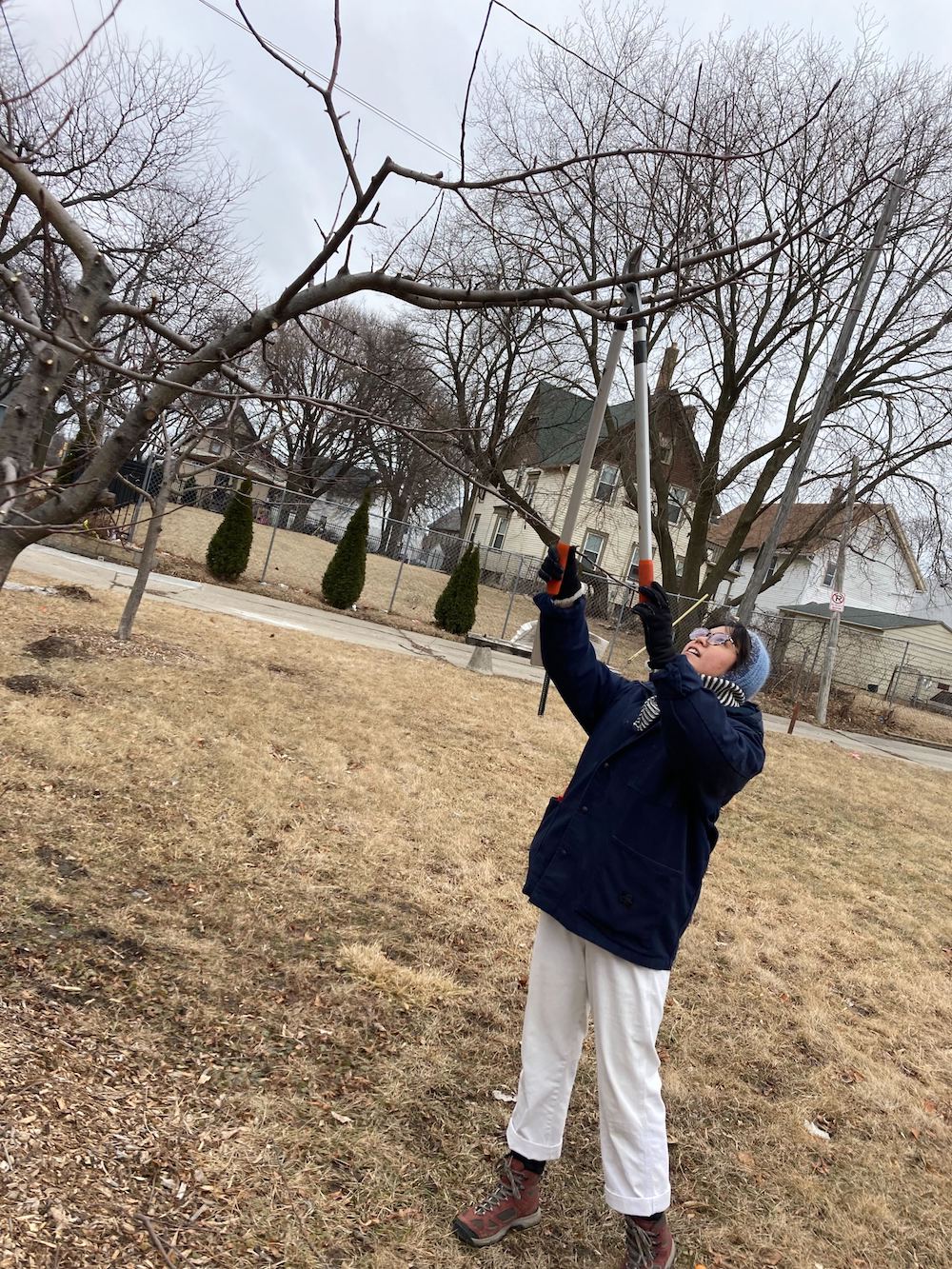 a woman in a dark jacket and white pants holds a long pair of shears and cuts a tree branch above her head