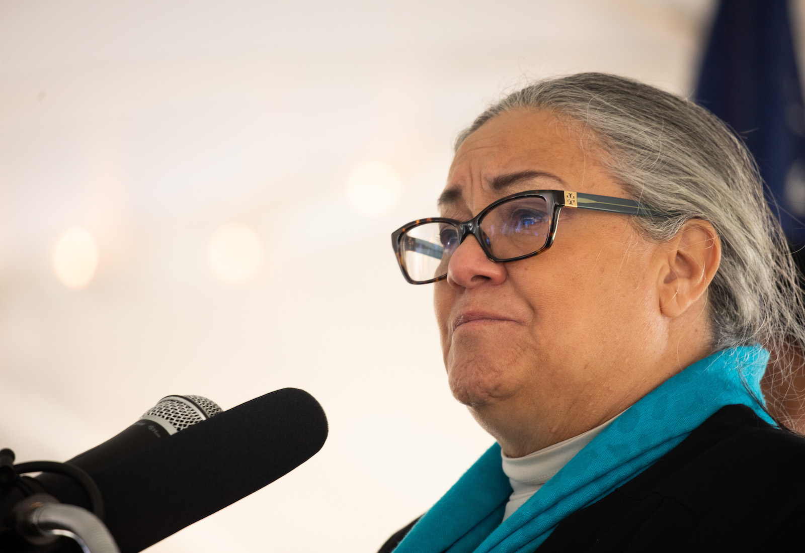 Headshot of Chief Anne Richardson at a microphone