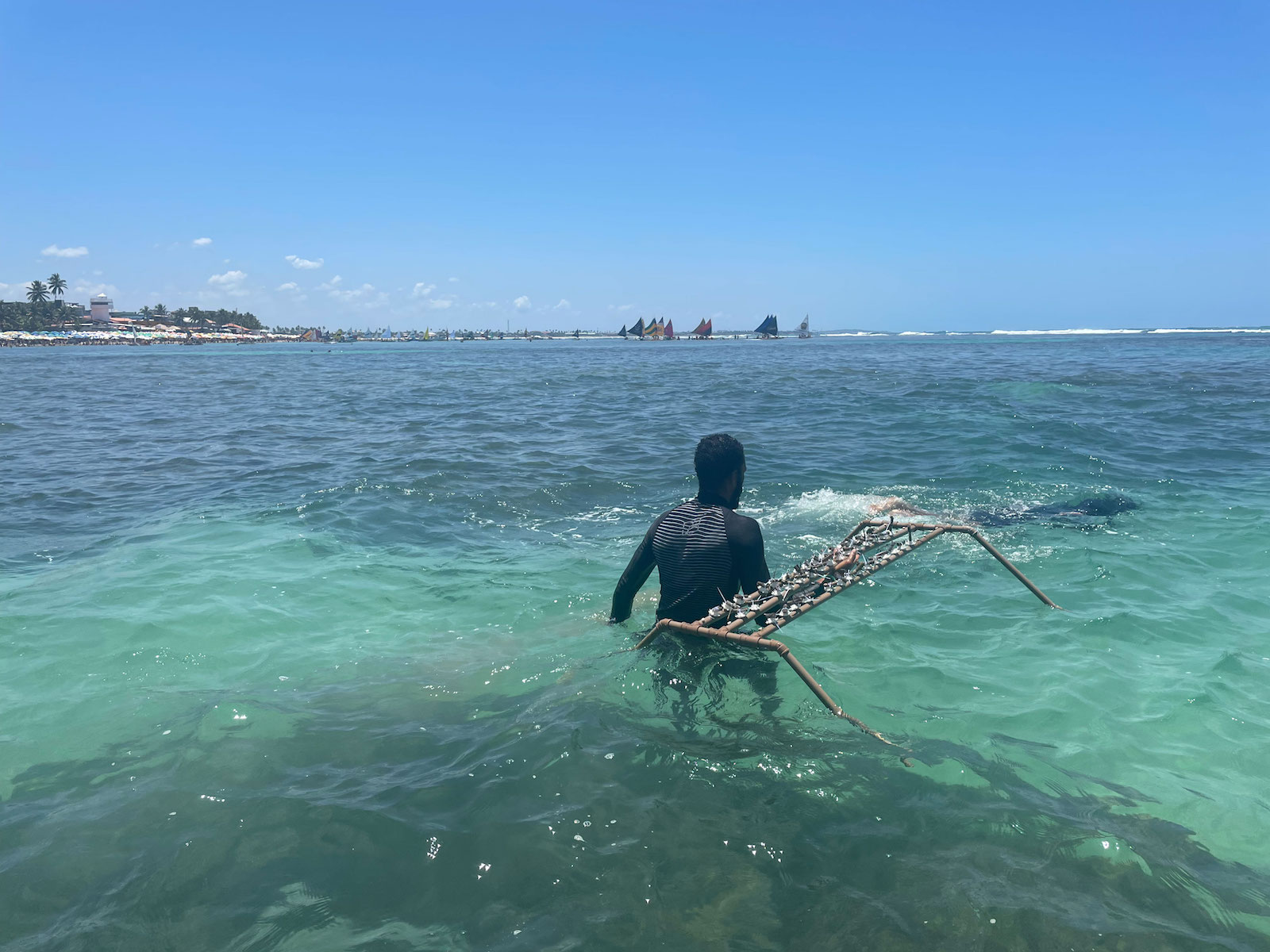 a man in a wet suit holds a small coral rig while submerged in the clear blue ocean