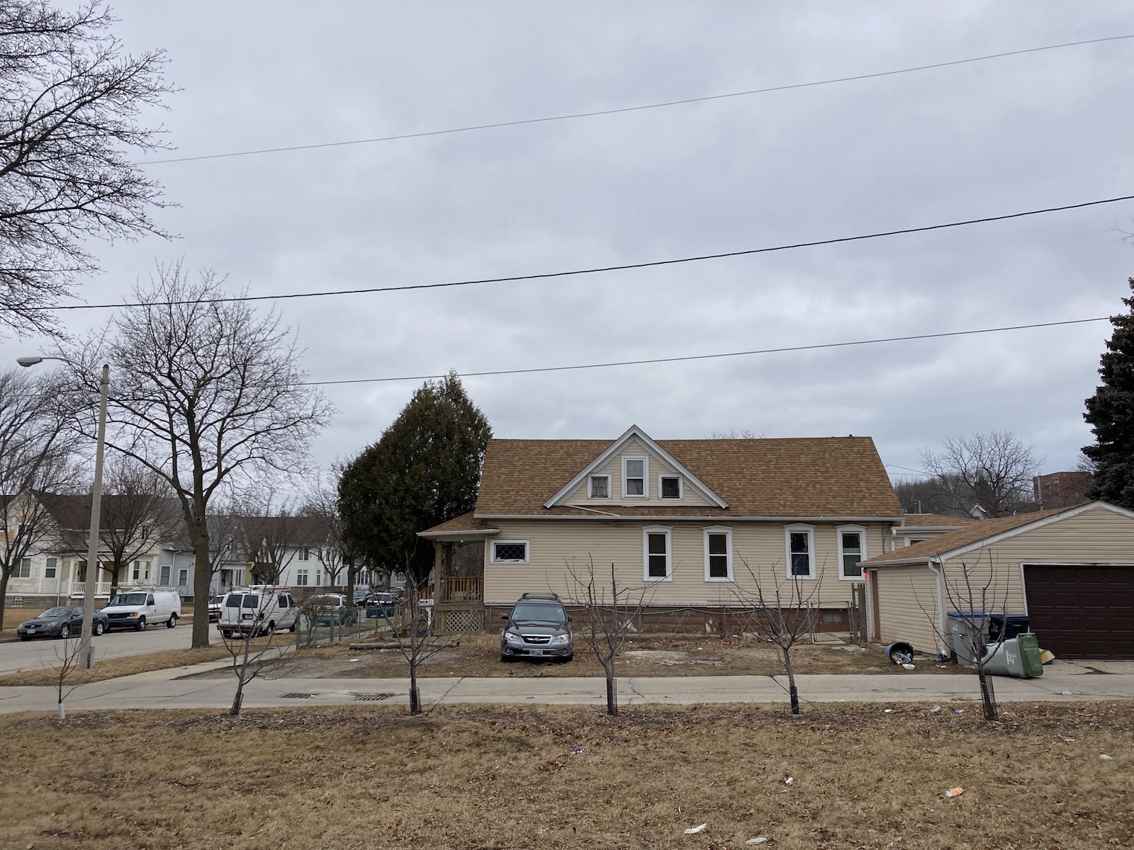 six trees grow in a row on a street near houses and cars