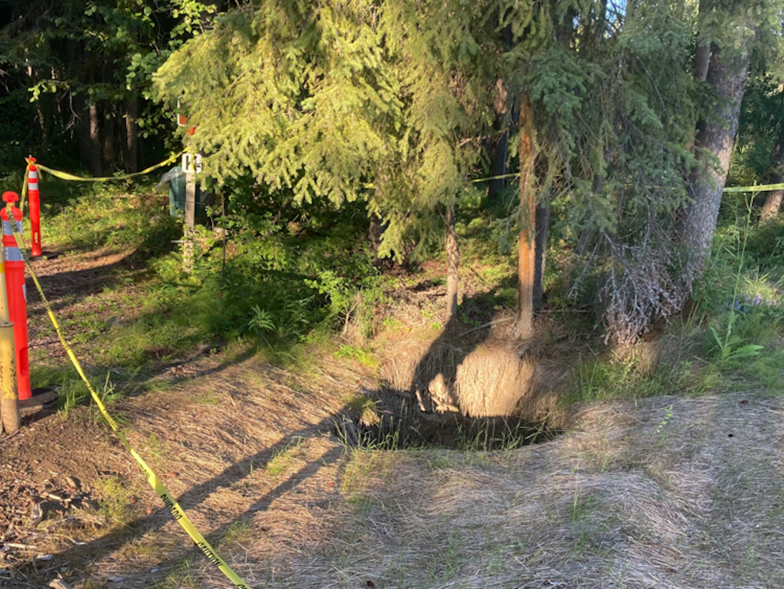 an orange cone and yellow tape mark off a hole in the ground of a forested area