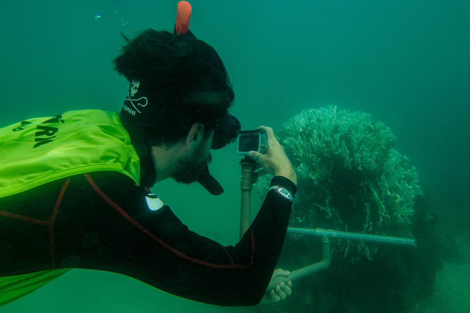 a diver holds up a camera underwater and takes a picture of coral