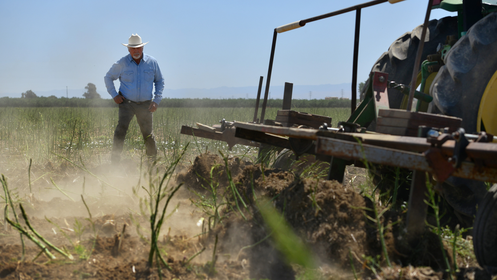 A farmer in Los Banos, California