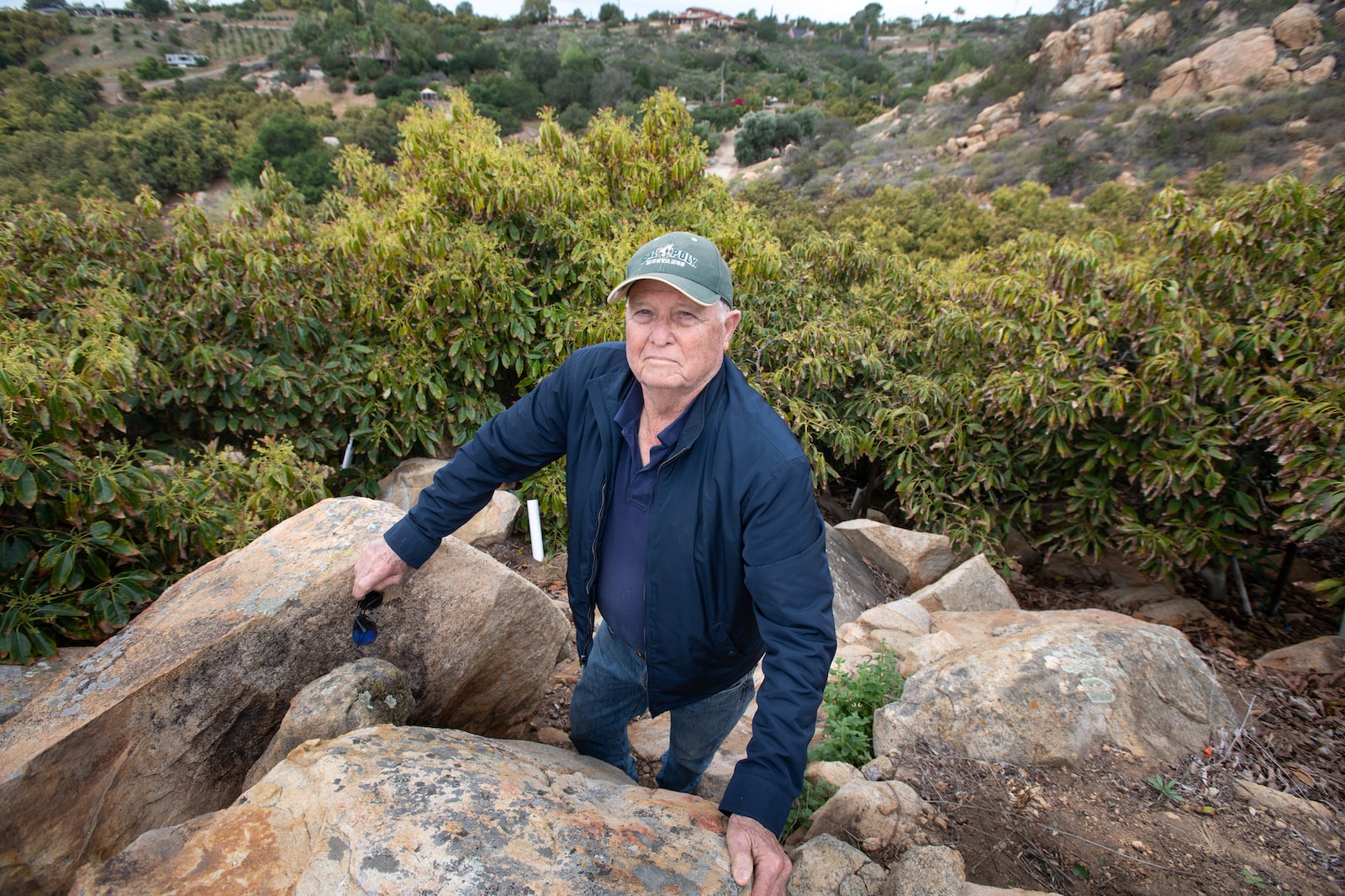 Farmer John Burr next to his avocado orchard, which uses micro jets to spray water around the trees and funnels water directly to the roots.