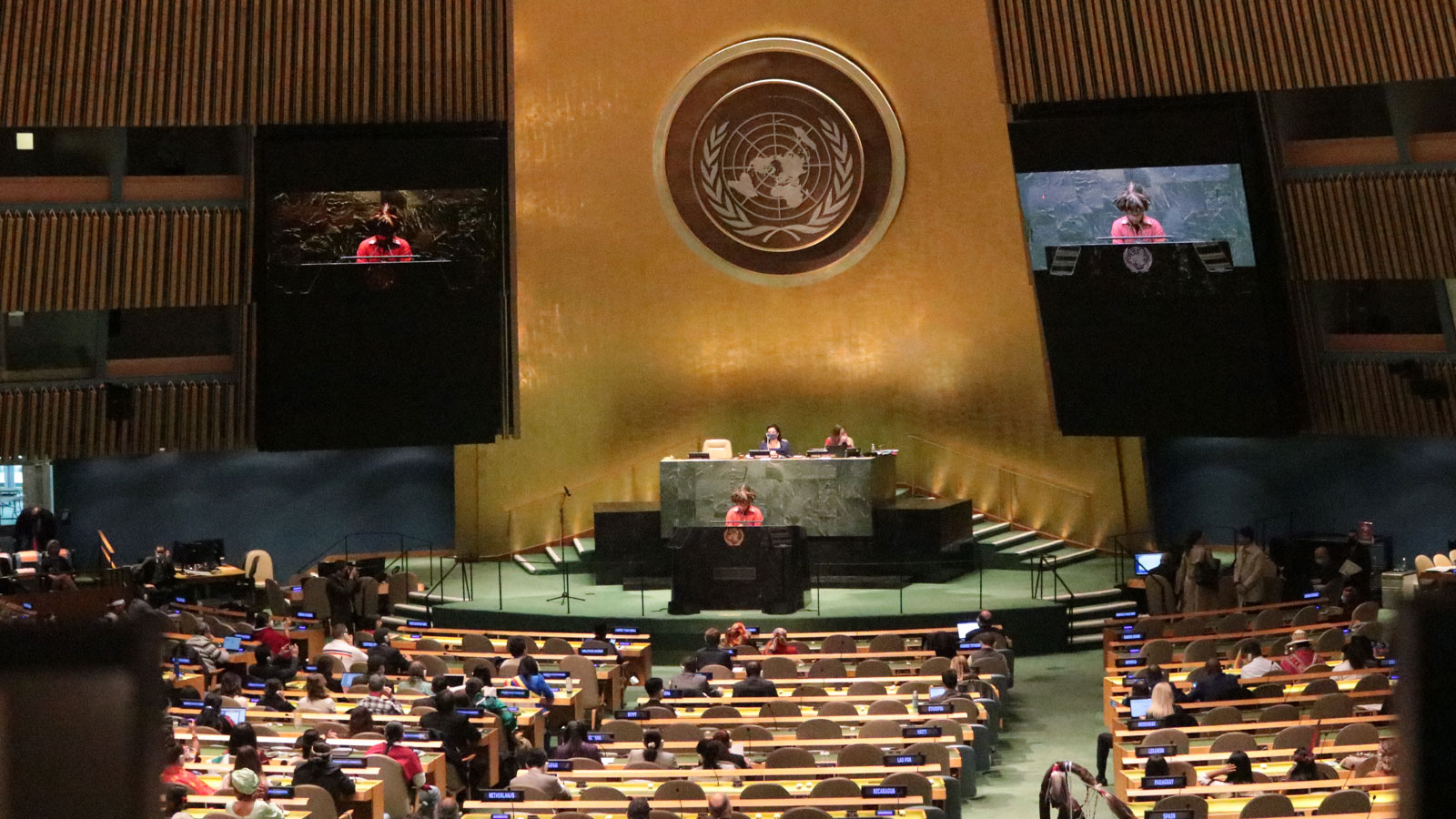 Interior of United Nations room with people in rows of seats watching a person give a speech at a podium at the United Nations Permanent Forum on Indigenous Issues