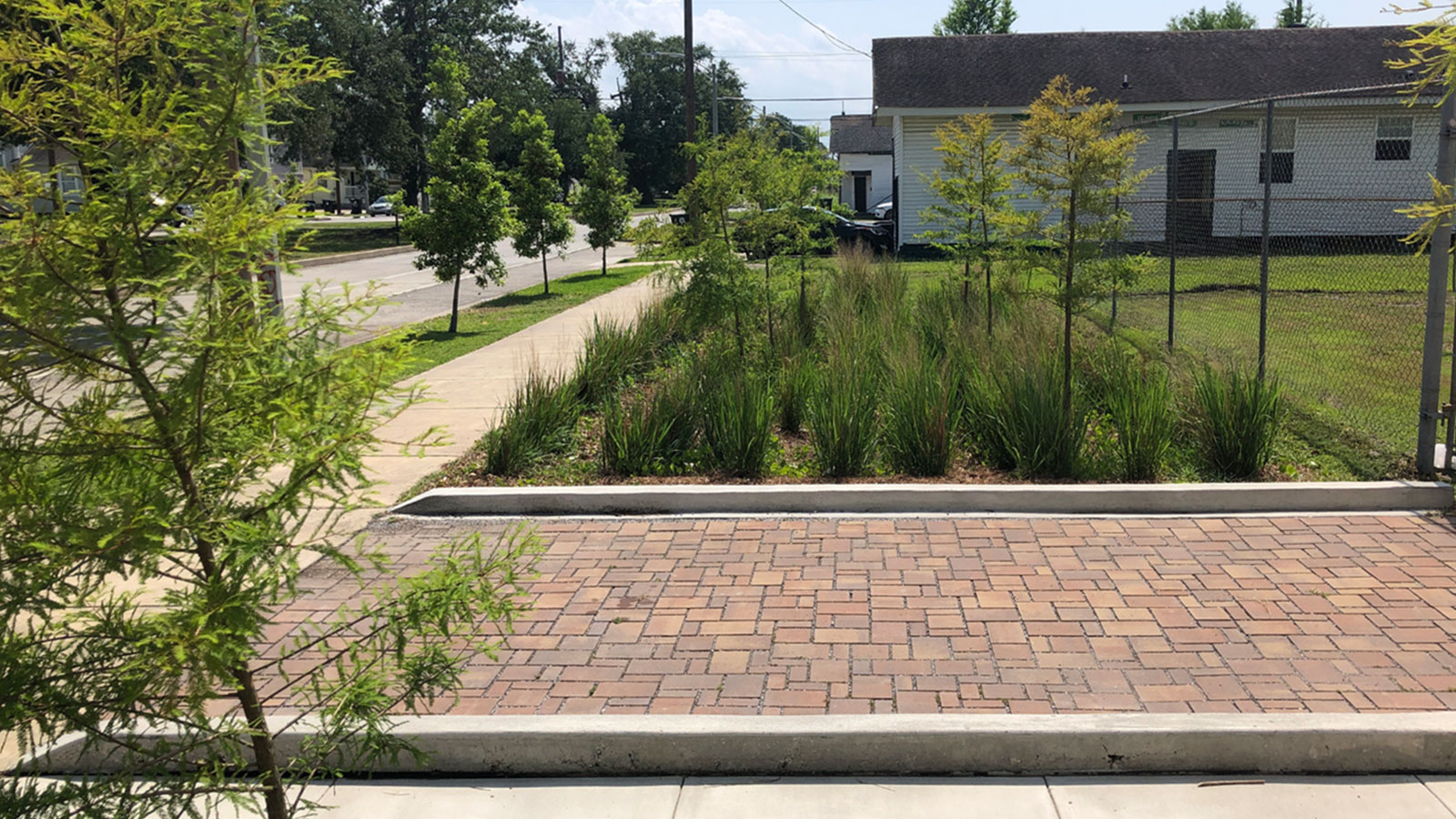 Sunny rain garden in front of a one-story church.