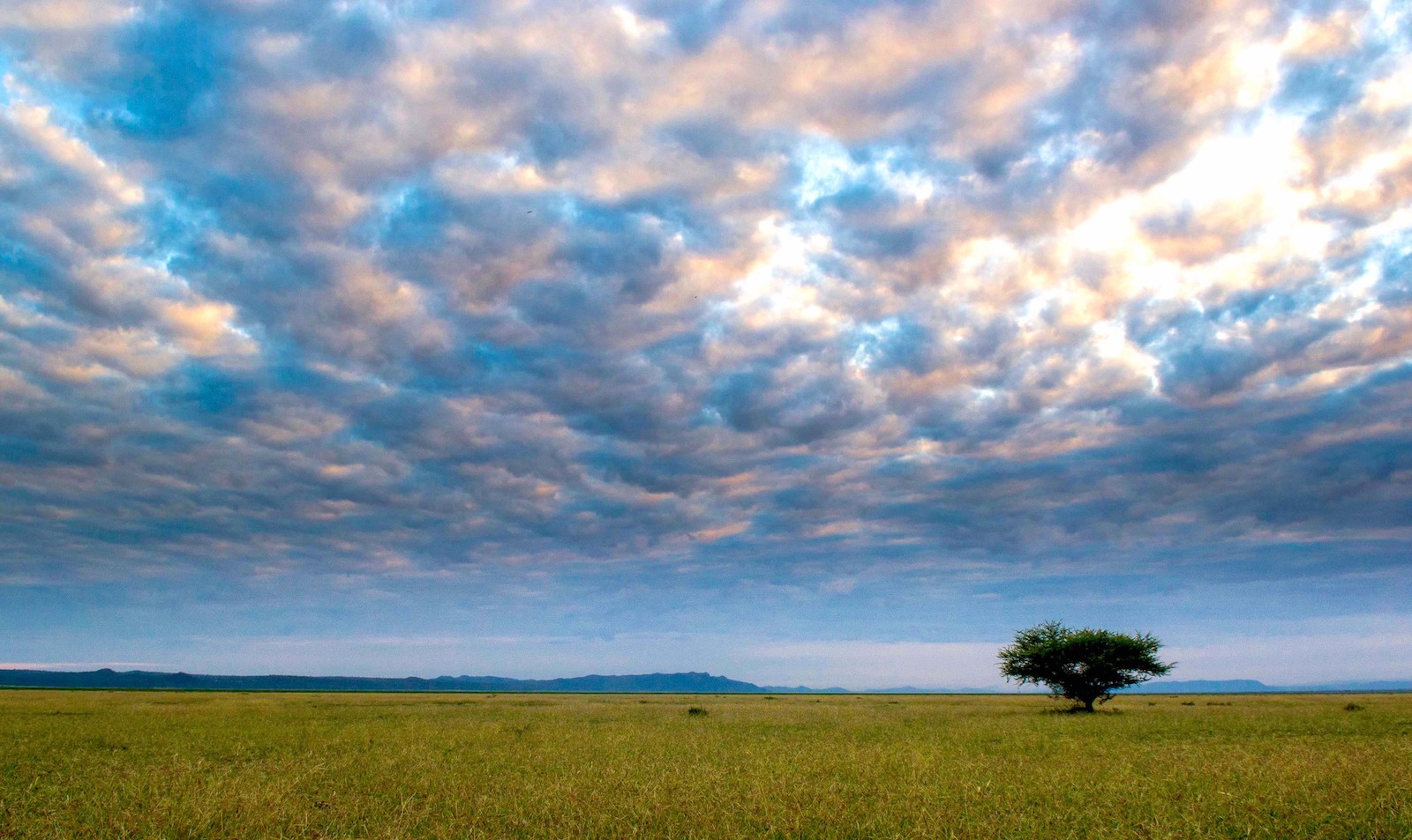 The Yaeda Valley plain.