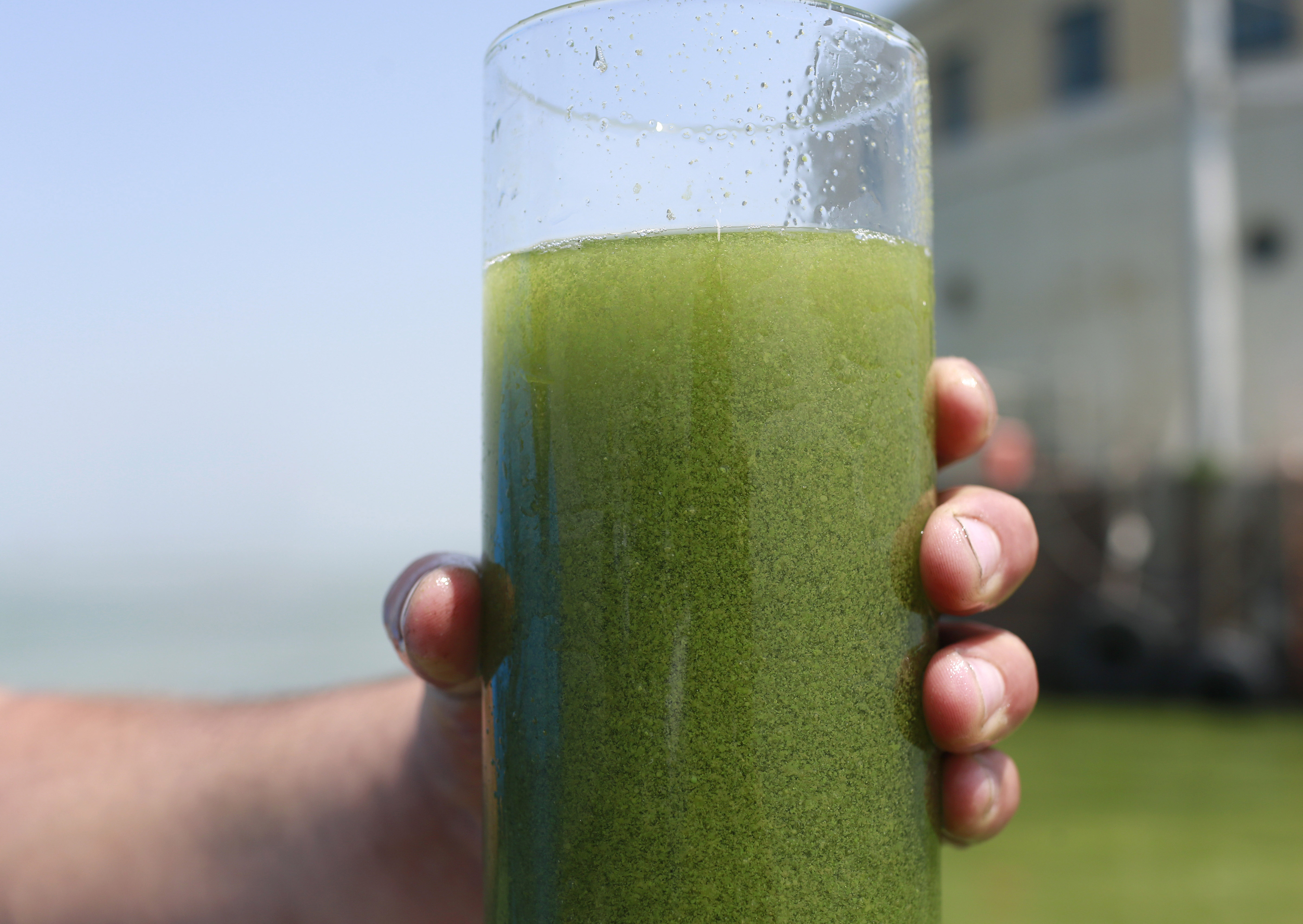 A hand holds up a glass of green water