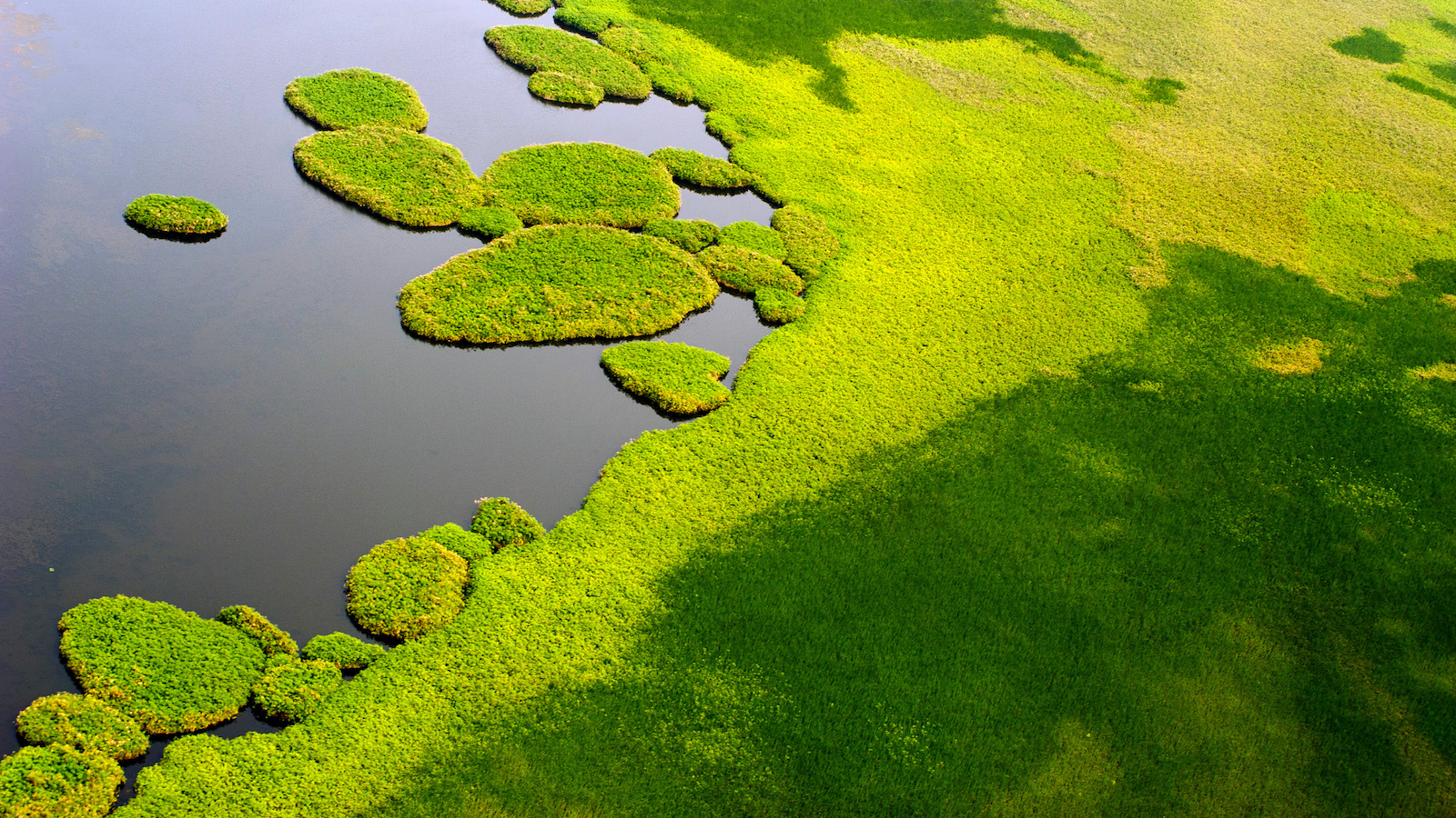 An aerial picture shows Islands jutting out into a lake amid the vast swamplands of the Sudd, around the border of Jonglei and Unity states in Southern Sudan, on June 21, 2011.