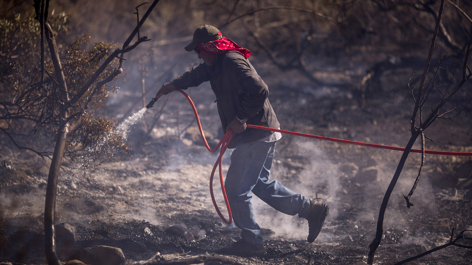 A farmworker fights the Thomas Fire on December 7, 2017 near Fillmore, California.