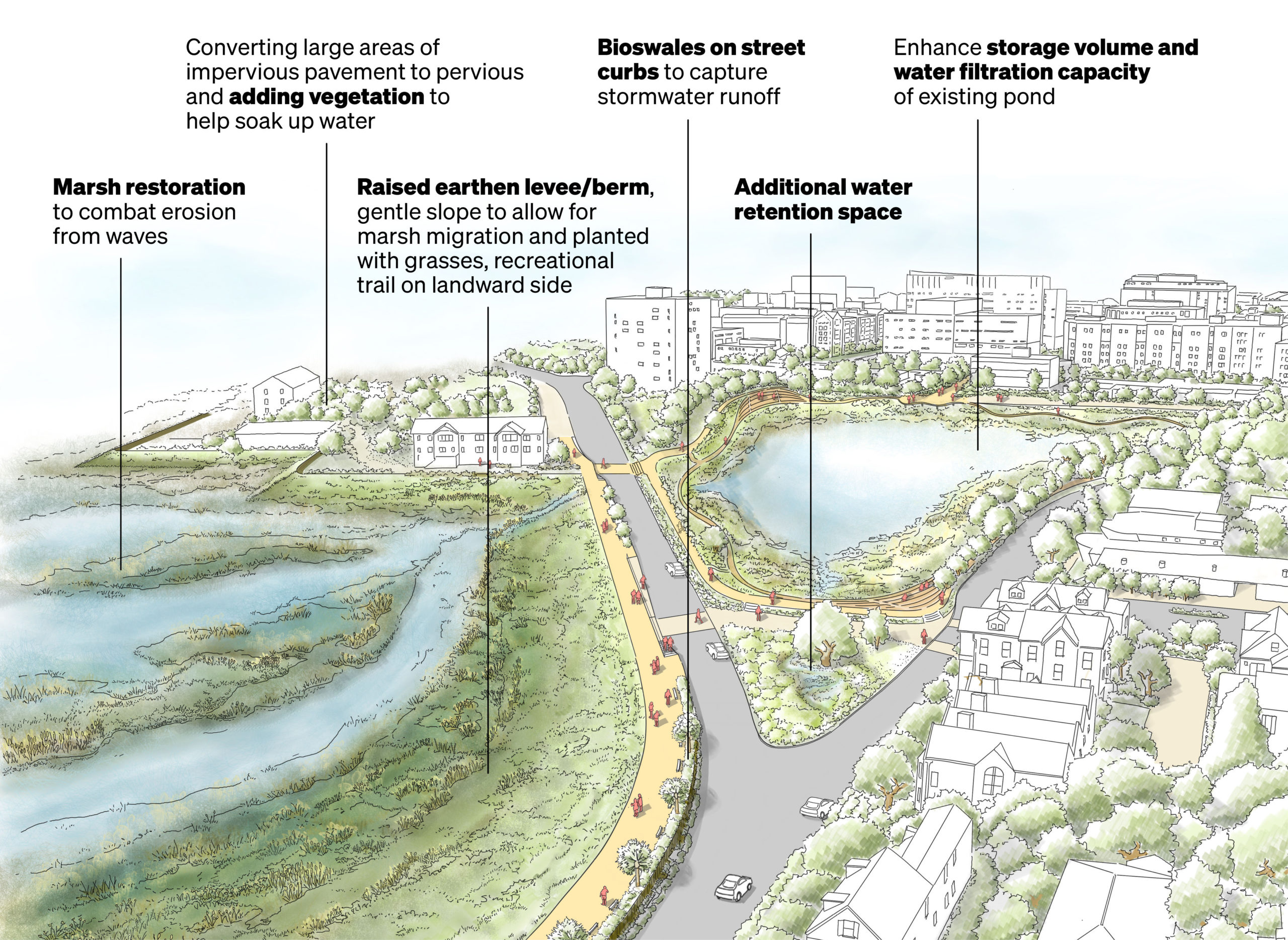 Sustainable coastal climate resilience