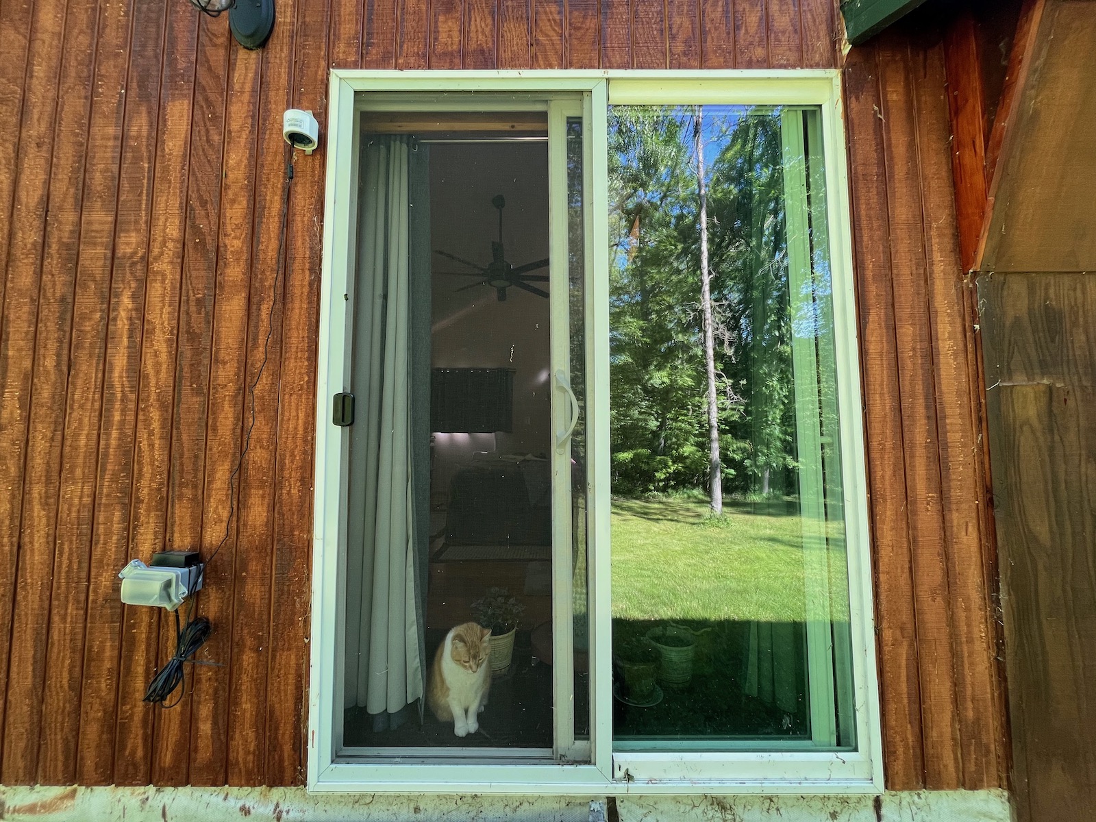 a cat stretches behind a screen door. To the side, a small white canister hangs with a black cord