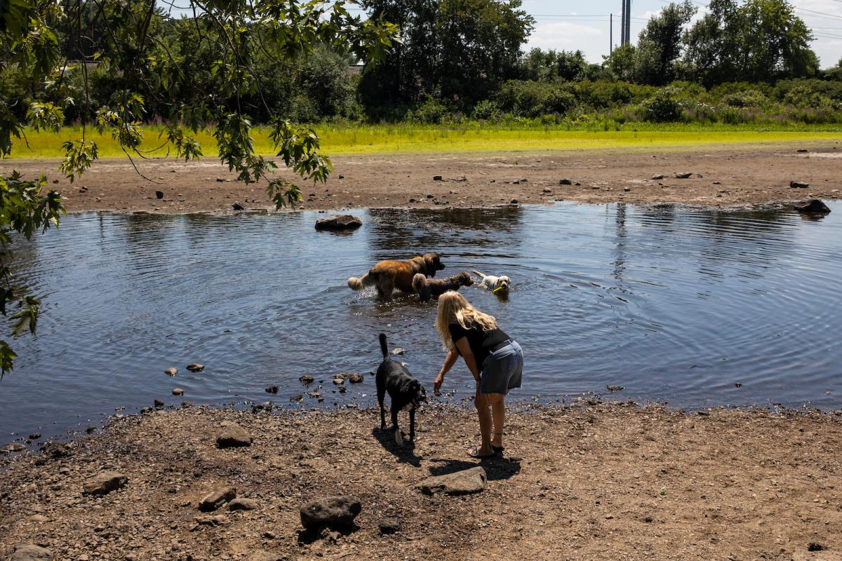 a woman pets a dog near a low river with lots of dead dry grass