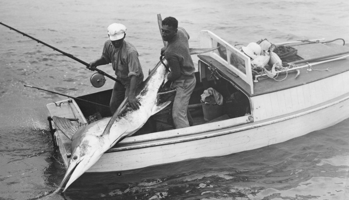 Two Maori fishermen landing a swordfish off New Zealand, circa 1935.