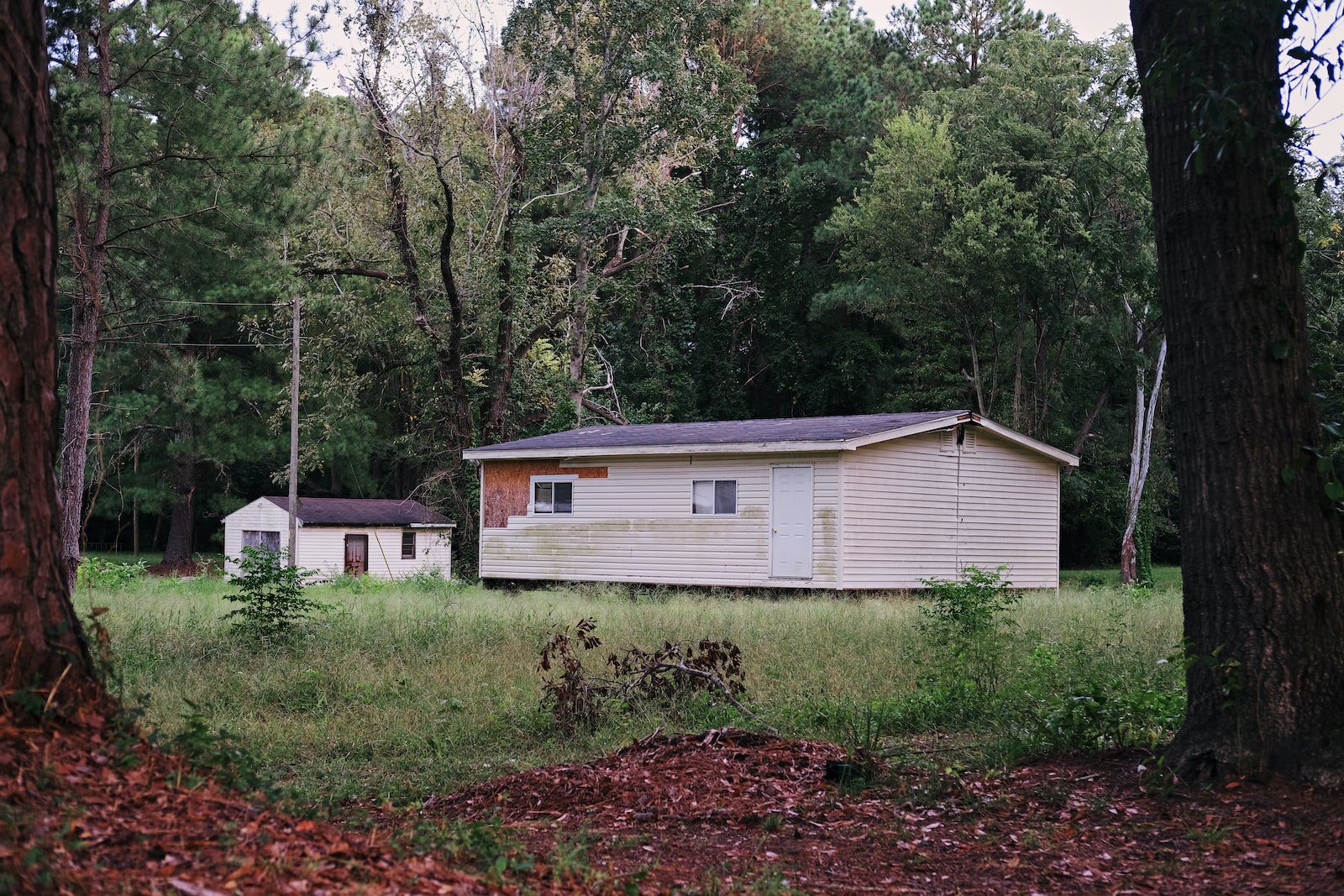 a white house with some wood peeling in the corner near trees