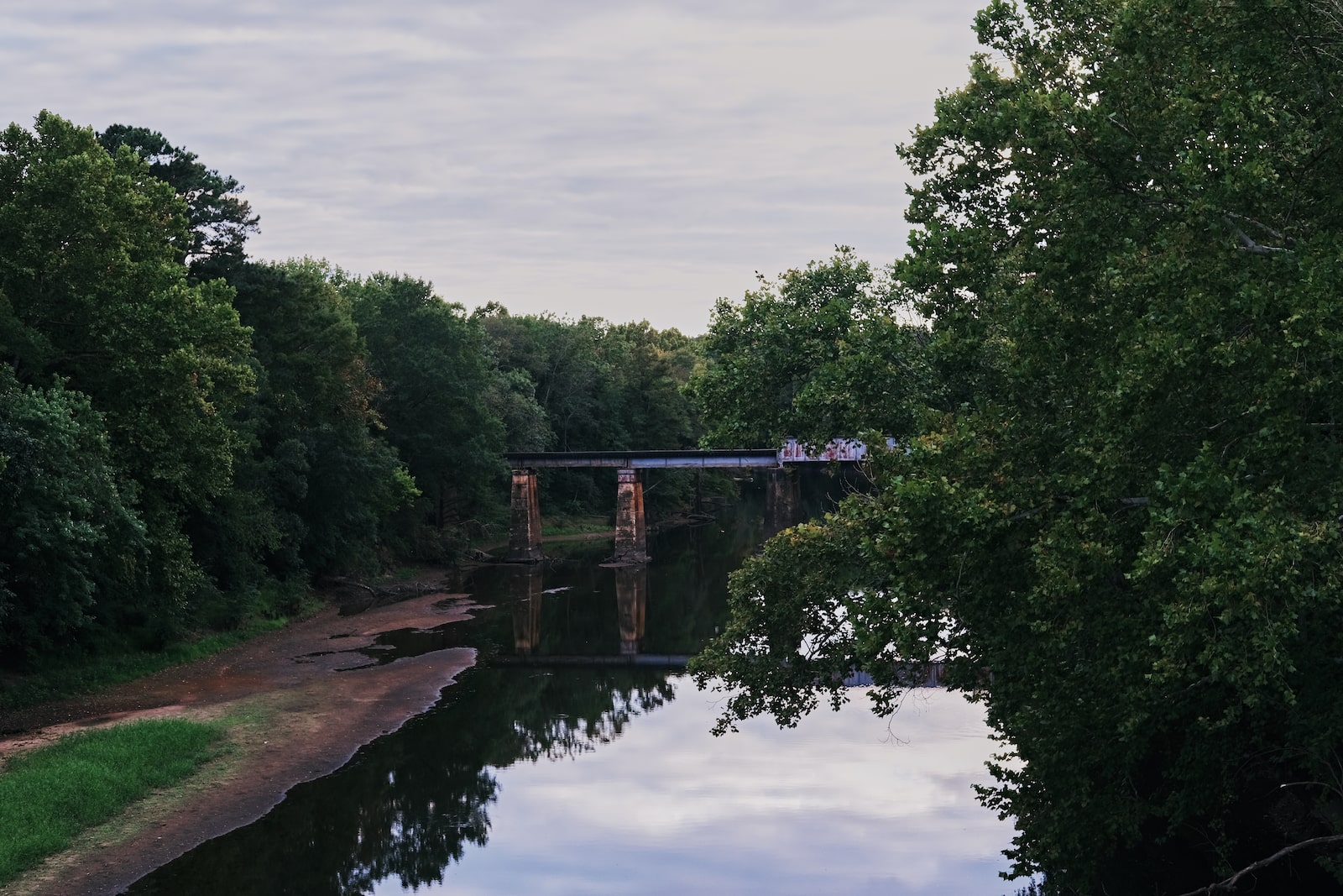 water flowing under a bridge with lots of trees