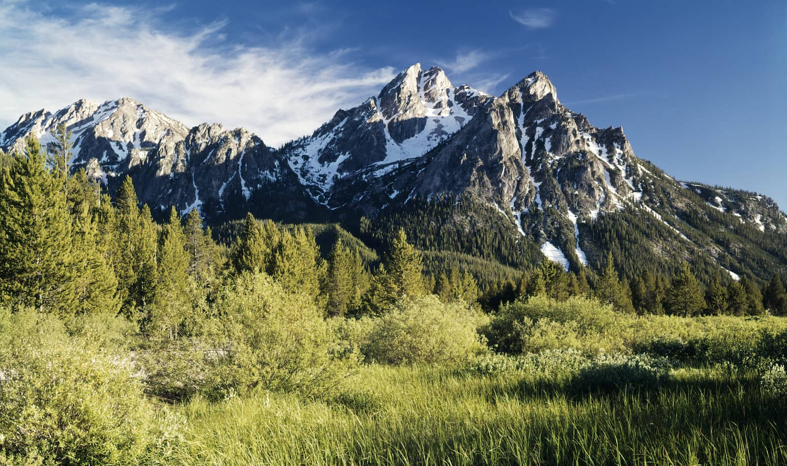 McGowan Peak in Idaho, surrounded by forest.